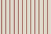 Striped Shorts