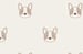 Plush Cat Socks