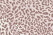 Leopard Print Sleep Mask