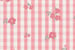Ditsy Floral Print Super Soft Pajama Shorts
