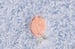 Peach Embroidery Curly Fur Slide Slippers