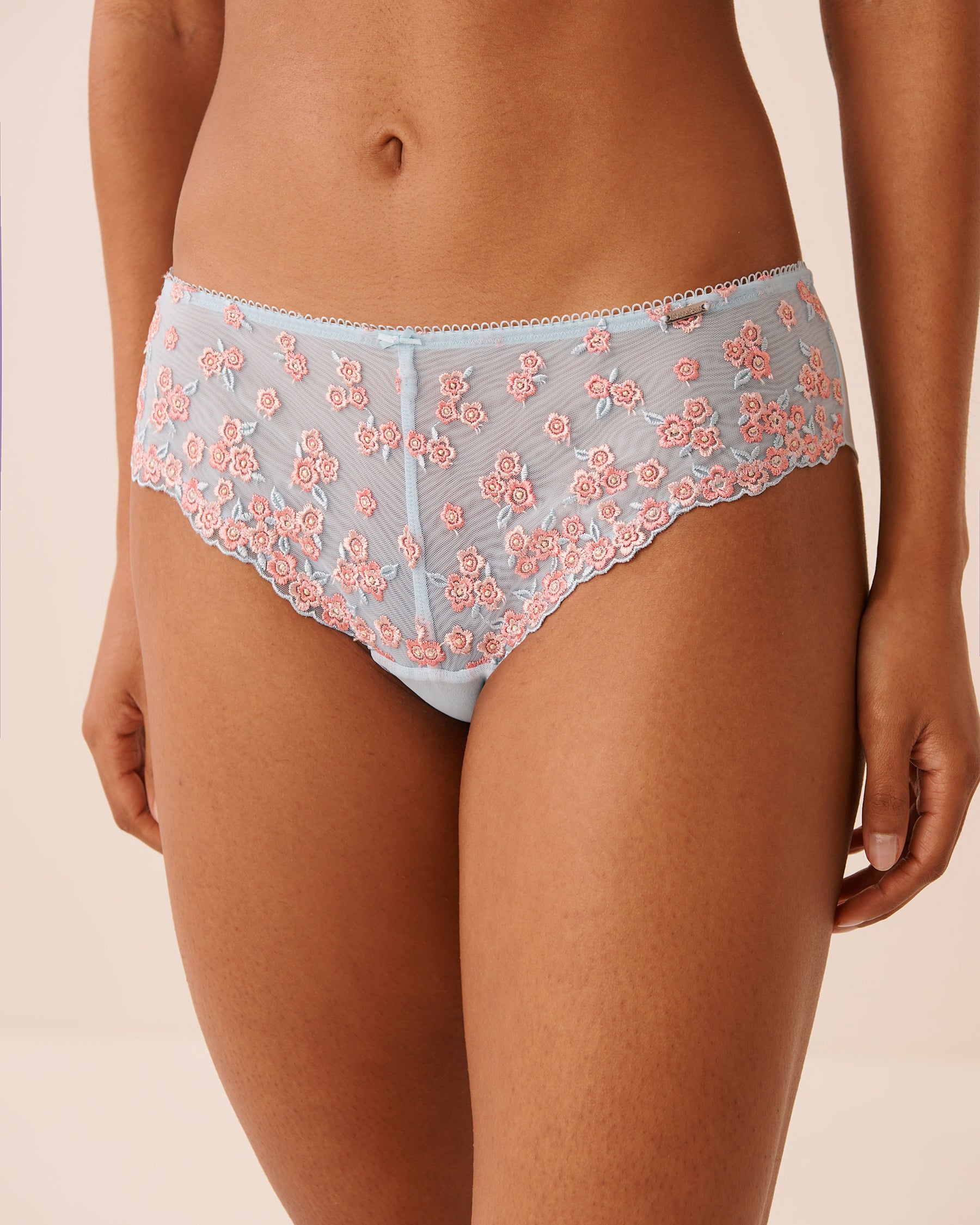 Embroidered Mesh Cheeky Panty